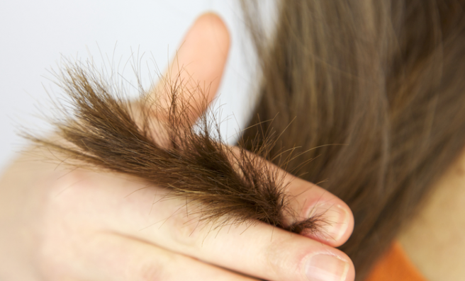 split ends on natural hair